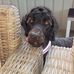 Profile Picture of Lyn Hobbs (@lyn.hobbs.58) on Facebook
