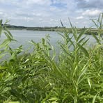 Profile Picture of Stevie Puffter (@Stevie-Puffter) on Facebook