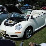 Profile Picture of Scott Lazenby (@pelinaca1) on Instagram