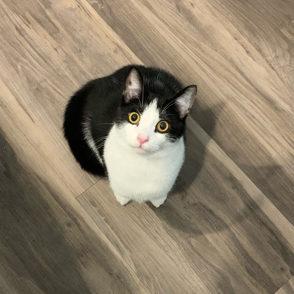 Profile Picture of Wendy Stottsberry (@tammistotts) on Poshmark