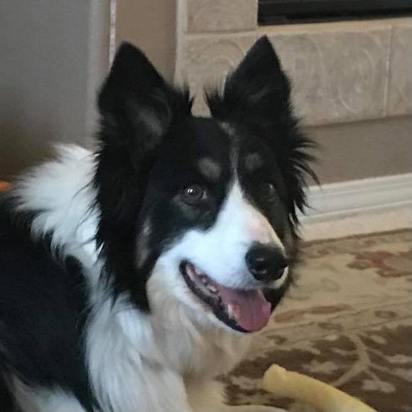 Profile Picture of James Mahurin (@trooperjim) on Poshmark