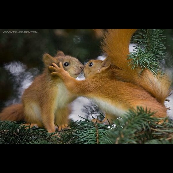 Profile Picture of Kristine Mehaffey (@kristiney2011) on Poshmark