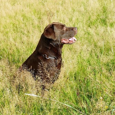 Profile Picture of Hanns Schumacher (@HannsSchumacher) on Twitter