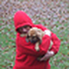 Profile Picture of Jean Quinn (@crazyforhounds) on Flickr