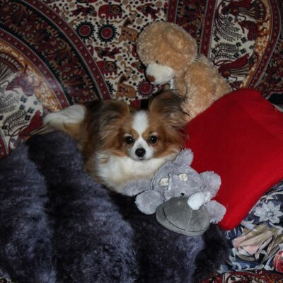 Profile Picture of Deborah Hathaway (@DeborahHathawa4) on Twitter