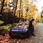 Profile Picture of Victoria Moors (@scarzgenee) on Instagram