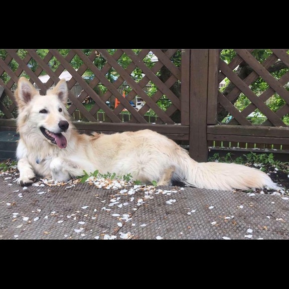 Profile Picture of Eryn Dubreuil (@eryndubreuil) on Poshmark