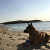 Profile Picture of Annie Kehoe (@@30204323161) on Tiktok