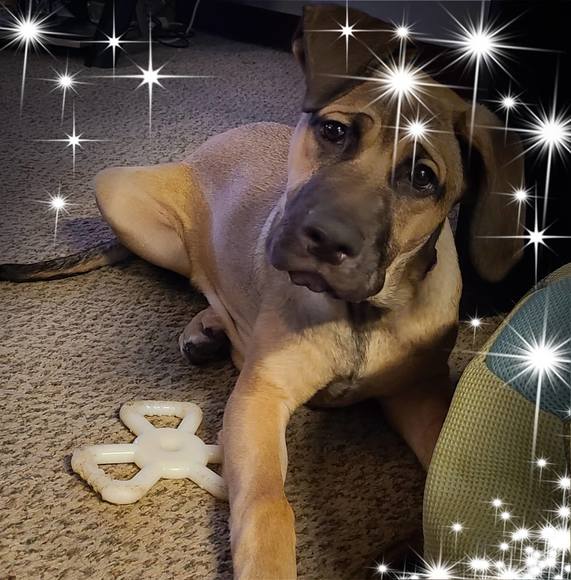 Profile Picture of Amanda Ploski (@missmarch1979) on Poshmark