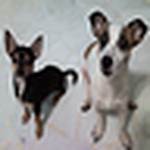 Profile Picture of MICHELLE JANELLE TANG (@The Best I Ever Had..) on Flickr