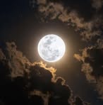 Profile Picture of Sher Shayeri (@Sher-Shayeri) on Facebook