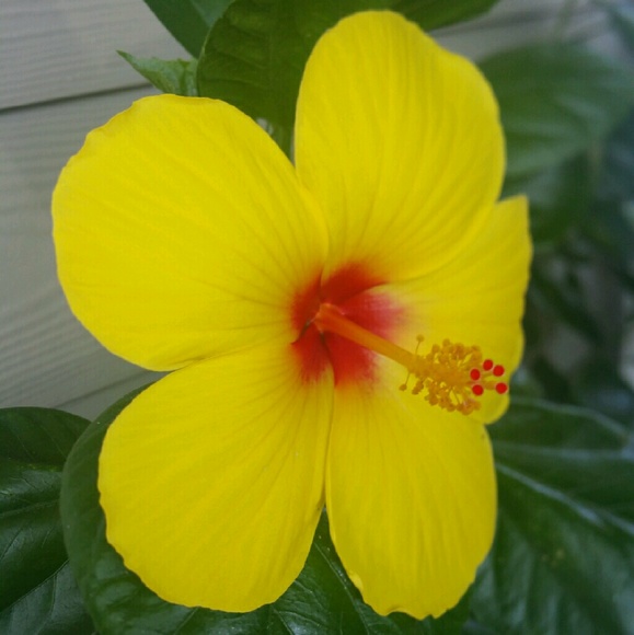 Profile Picture of Jessica Rolens (@iessrolens) on Poshmark