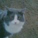 Profile Picture of Karly Jacobson (@Karly528) on Pinterest