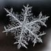 Profile Picture of Lisa Ludwig-Sindoni (@lisa0902) on Pinterest