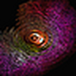 Profile Picture of Esp Photography (@Esp Photography) on Flickr