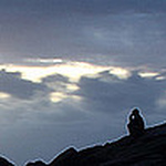 Profile Picture of Andre Oliveira (@andré oliveira photography) on Flickr