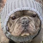 Profile Picture of Jacques Alejandro Lucas🐶🐾🎾 🇬🇧 (@jacques__alejandro) on Instagram
