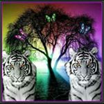 Profile Picture of Kelly  Shafer (@shaferkelly) on Instagram