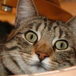 Profile Picture of Jenna Lee Crouse (@jenna10_jc87) on Twitter