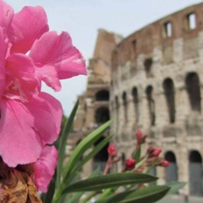 Profile Picture of Mabel Cobos (@mabelccg) on Twitter