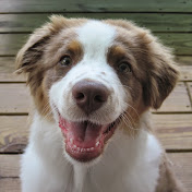 Profile Picture of Mark Kessler (@markkessler40) on Youtube