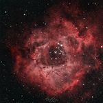 Profile Picture of Robert Bradley (@_astrob_) on Instagram