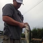 Profile Picture of Tony Merrifield (@merrifieldtony) on Instagram