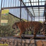 Profile Picture of Meyrick (@meyrickdarnell) on Instagram