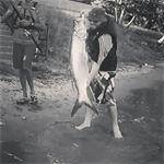 Profile Picture of Peter Chaves (@peter.chaves) on Instagram