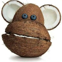 Amir Khalil - Quora Profile Picture of Amir Khalil (@amir-khalil-23) on Quora