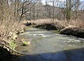 Profile Picture of Plesná (river)on Wikipedia