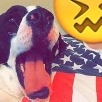 Profile Picture of John Endresen (@john-endresen) on Quora