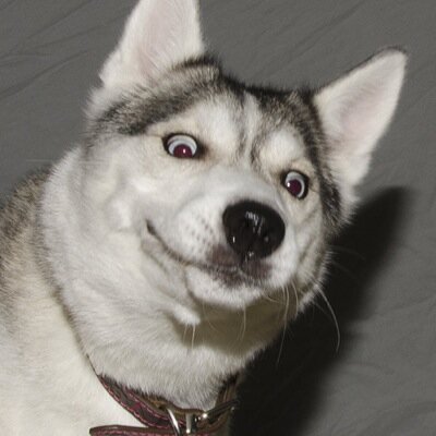 Profile Picture of John Reagan Wilburn (@JohnReaganW) on Twitter