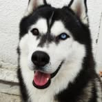 Profile Picture of Joe Roman (@Joe-Roman) on Facebook