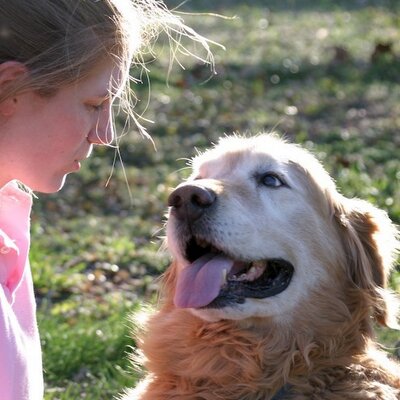 Profile Picture of Weatherly Thomas (@thewebmeister) on Twitter