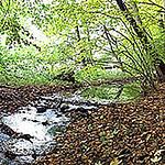 Profile Picture of Andreas Korn (@a-big-picture) on Flickr