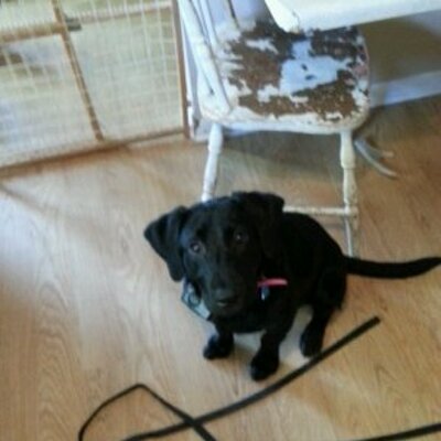 Profile Picture of Kim Holub (@KimHolub1) on Twitter