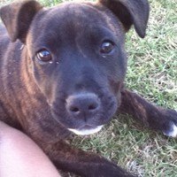 Profile Picture of Jason Severino (@jason-severino) on Quora