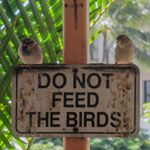 Profile Picture of James N. Shimabukuro (@jimskcc) on Instagram