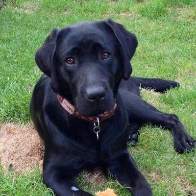 Profile Picture of James Randle (@jamesrandle1980) on Twitter