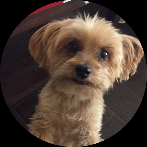 Profile Picture of Brianna Nguyen (@briannanguyeen) on Poshmark