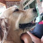 Profile Picture of Joshua (@joshua.gentile03) on Instagram