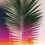Profile Picture of 이규훈 (@soulstarhoon) on Instagram