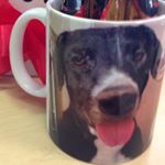 Profile Picture of Yolanda Trujillo (@yolandtrujillo) on Instagram