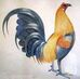 Profile Picture of Kevin Kaye (@kevin.kaye.182) on Facebook