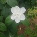 Profile Picture of Roberta Kennedy (@roberta.kennedy.3551) on Facebook
