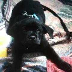 Profile Picture of Crazy Redhead (@wildredab) on Myspace