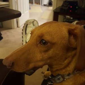 Profile Picture of Randy M. (@RandyMcCann007) on Twitter