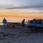 Profile Picture of Peter Harman (@peterharman1) on Instagram