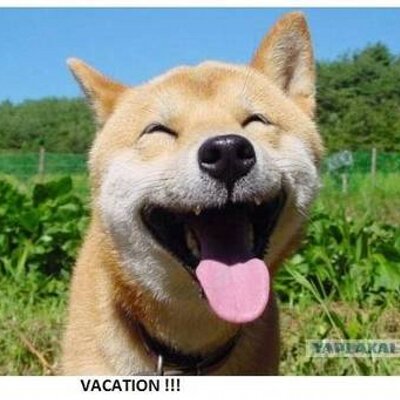 Paul Wedel - Twitter Profile Picture of Paul Wedel (@pauly1948) on Twitter